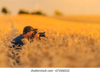 Nature Photographer In Action. Caucasian Senior Photographer Taking Pictures In The Middle Of The Rye Field