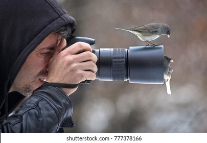 Nature photographer photographing birds - Powered by Shutterstock