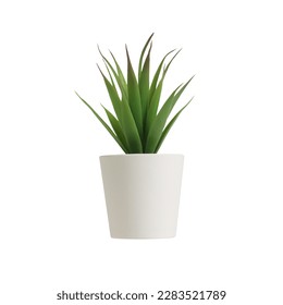 nature potted succulent plant in white flowerpot isolated in front of clean white background with green cactus and cacti is called century plant in desert - Shutterstock ID 2283521789