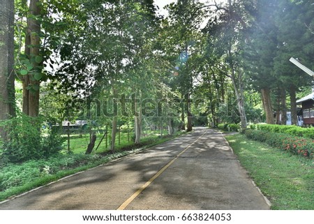 nature rainy season stock photo edit now 663824053 shutterstock