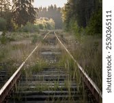 Nature reclaims old, unused train tracks, with wildflowers and grass growing between the rails. The scene evokes a sense of peaceful abandonment, as the tracks stretch into the distance.