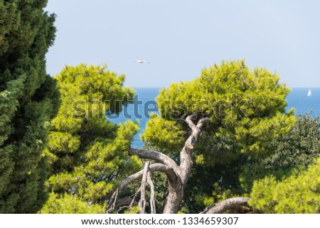 Similar – Image, Stock Photo Port of Rovinj, Croatia