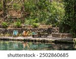 Nature reserve Ojo de Agua at Ometepe island in Lake Cocibolca in southwest Nicaragua Central America. Swimming in natural pool.