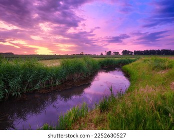 Nature. The river on the field during a bright sunset. Reeds along the river bank. Bright sky with clouds during sunset. Landscape in the summertime. Reflections on the surface of the water. - Powered by Shutterstock