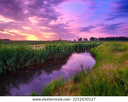 Nature. The river on the field during a bright sunset. Reeds along the river bank. Bright sky with clouds during sunset. Landscape in the summertime. Reflections on the surface of the water.