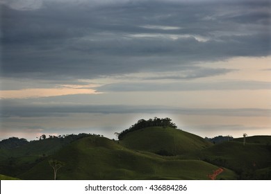 Nature scape