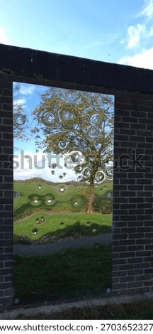Nature Scenary Reflected Through distorting Panel Againt a Brick Wall.