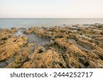 Nature scene Bahia Honda Key Florida 