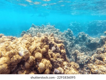 La naturaleza del fondo