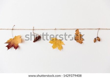 Similar – Image, Stock Photo dried leaf in autumn