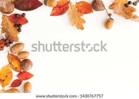 Similar – Image, Stock Photo dried leaf in autumn