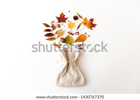 Similar – Image, Stock Photo dried leaf in autumn