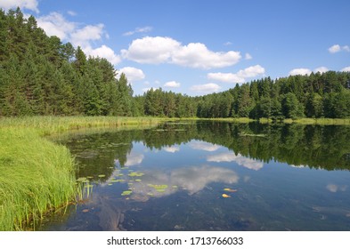 Nature of Seliger. The lake Dohlets in Tver region - Shutterstock ID 1713766033