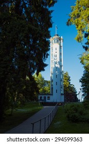 Nature In South Estonia Summer