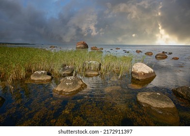 Nature In South Sweden In The Province Of Skåne