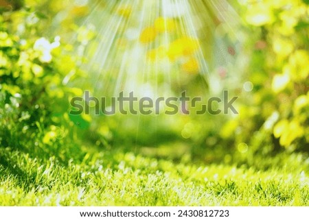 Nature Spring Blurred Background
Soft focus on springtime: gentle breeze whispers through vibrant green hues.