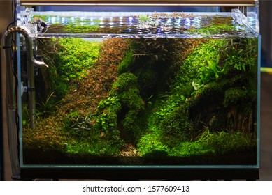 Het Aquascaping Images Stock Photos Vectors Shutterstock