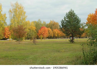 Nature Summer Autumn Fruit Belarus Landscape