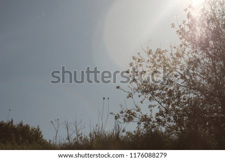 Similar – mit der sonne im rücken