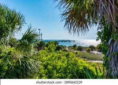 Nature Tampa Bay Area, Florida