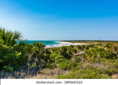 Nature Tampa Bay Area, Florida