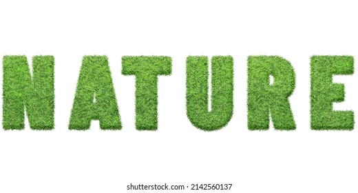 Nature text in Green Grass texture , Isolated On White Background. Font For Your Design. 3D - Shutterstock ID 2142560137