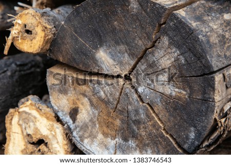 Similar – Image, Stock Photo wood Environment Nature