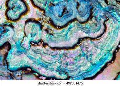 Nature texture pattern of nacre mother-of-pearl inner side of Paua, Perlemoen or Abalone shell macro abstract background