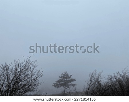 Similar – Image, Stock Photo Misty November Environment