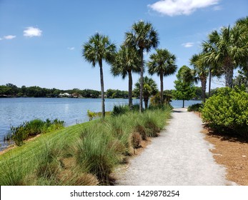 Nature Trail Along A Lake In Winter Park, Florida