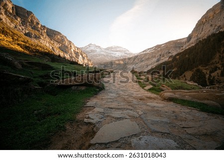 Nature trail between trees in Ordesa National Park, golden light on dense vegetation in the Pyrenees, quiet hiking route in Huesca, protected nature and active tourism.