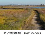 Nature Trail in Galveston Island State Park with Wetlands FG and Galveston City BG