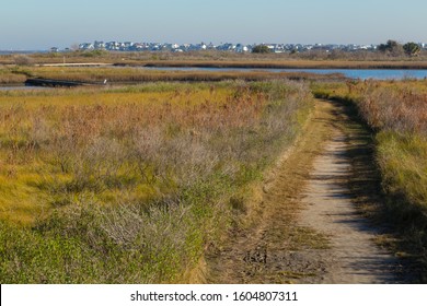 Nature Trail In Galveston Island State Park With Wetlands FG And Galveston City BG