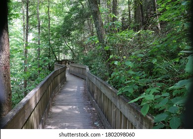 Nature Trail In The North Georgia Mountains