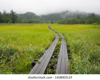 Nature Trail in Rural Oze Japan