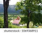 nature tree landscape