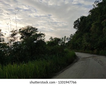 Nature tree view