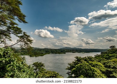 Nature in Uganda at the river Nile, Source of the Nile