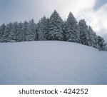 Nature View