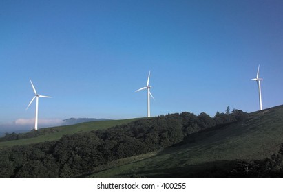 Nature View