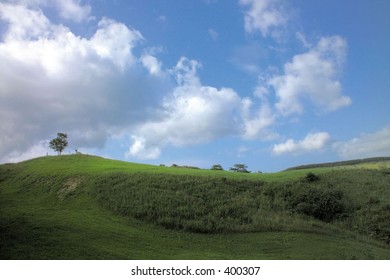 Nature View