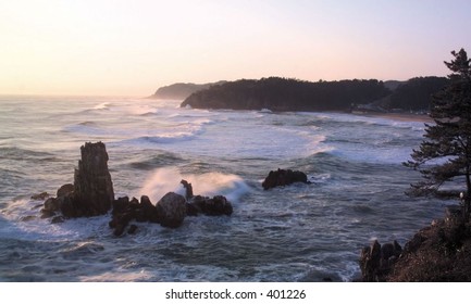 Nature View