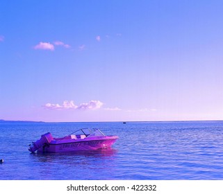Nature View