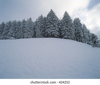 Nature View
