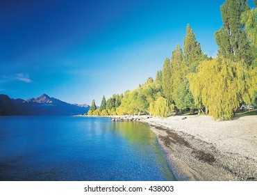 Nature View