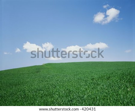 Image, Stock Photo growing maize field