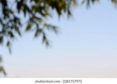 Nature view blurred, natural plants bokeh and blur background - Shutterstock ID 2281757973