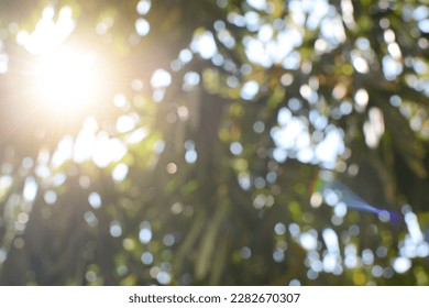 Nature view blurred, natural plants bokeh and blur background - Shutterstock ID 2282670307