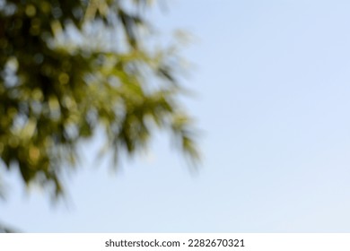 Nature view blurred, natural plants bokeh and blur background - Shutterstock ID 2282670321