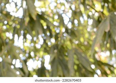 Nature view blurred, natural plants bokeh and blur background - Shutterstock ID 2282670403